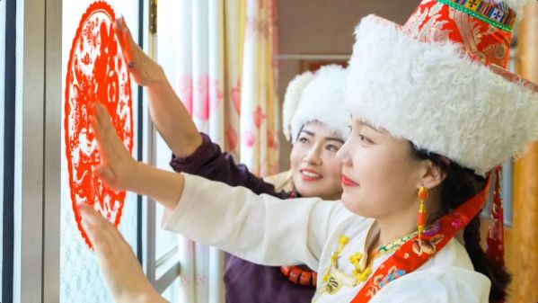 08968c04d83ae73ffd519e12484a505